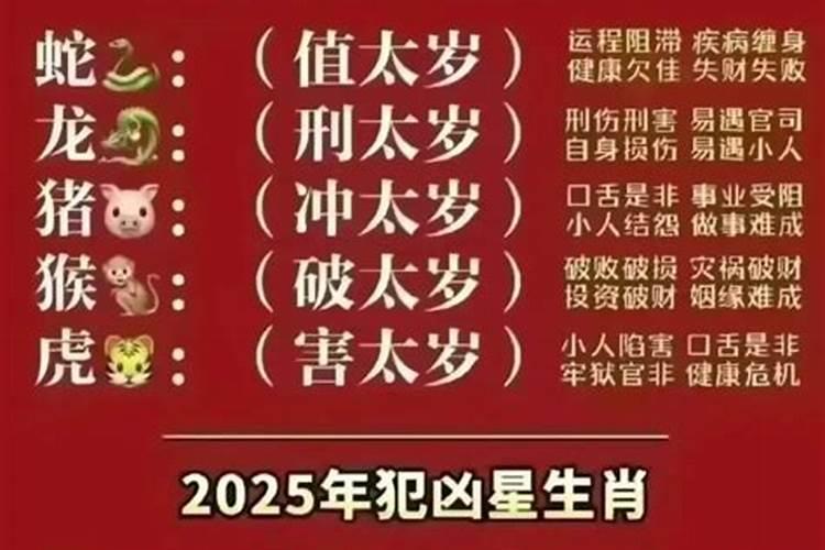 2024下半年属龙爱情运势