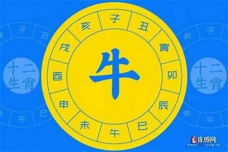 1984的属相