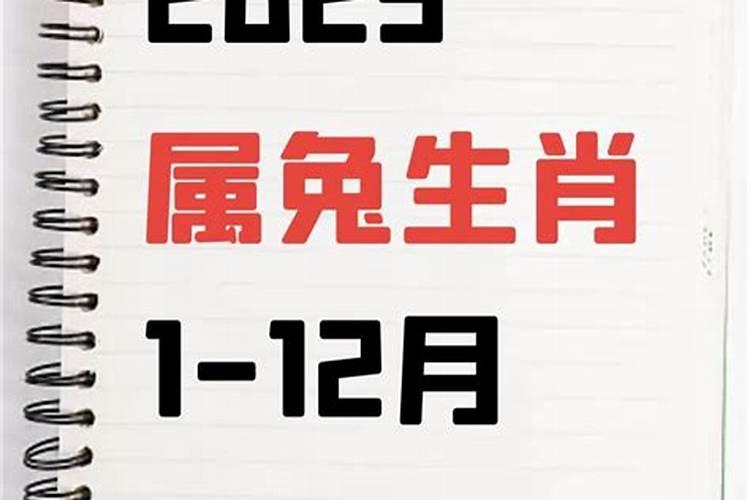 71年猪女在2020年7,8月份运势如何呢