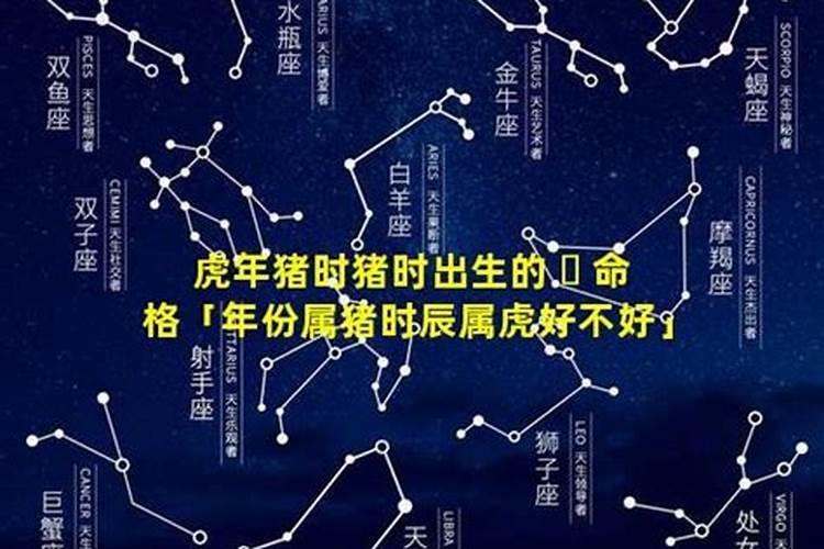 属羊的2024运势怎样