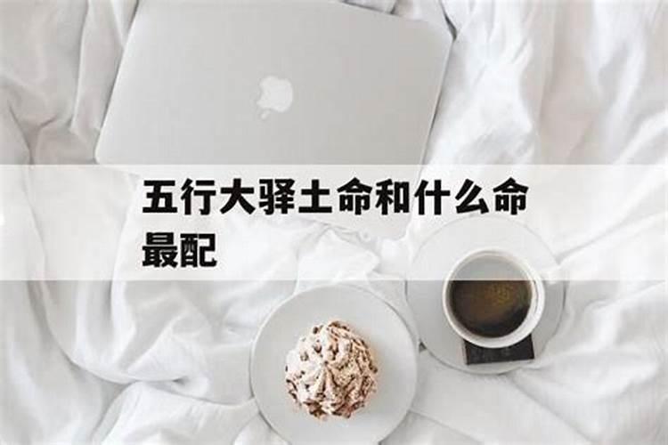 寅丑暗合的好八字