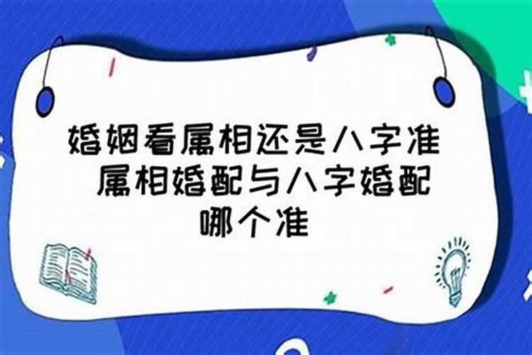 属狗的2024年是不是不好运气了