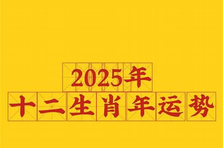 属兔天称人2025年运势运程