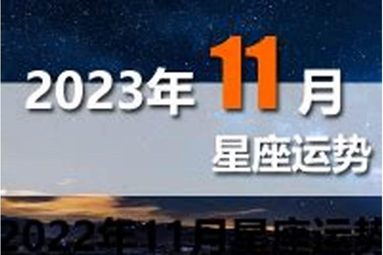 属猴鼠2025年运势运程如何