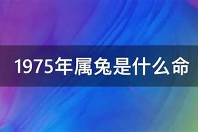 五路财神跟五福财神区别在哪