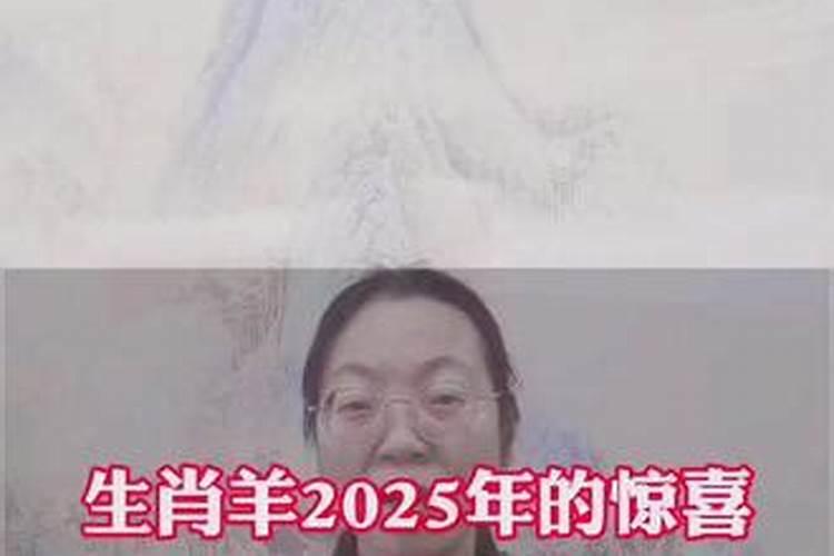 属马人2024年运程怎样