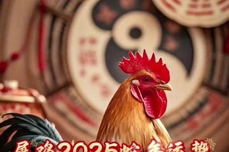 属猪的今年多大2024运程