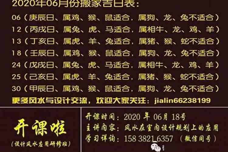 生肖牛2024年犯太岁吗