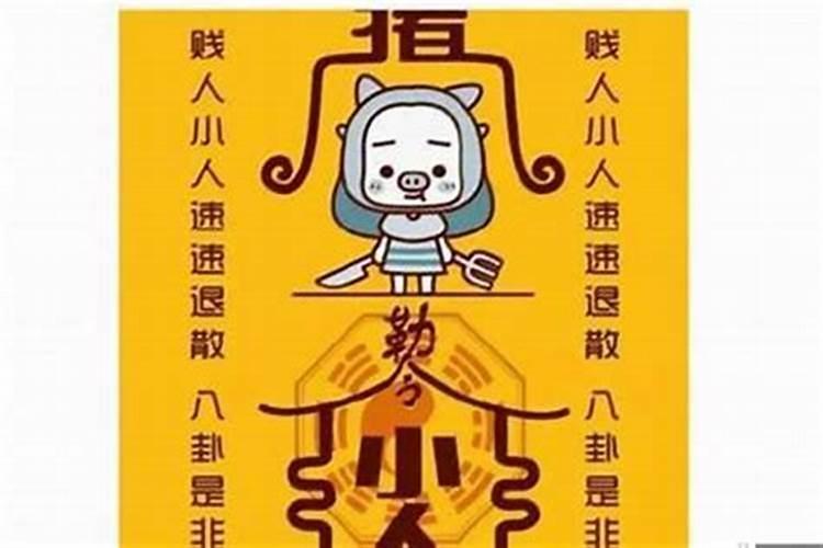 害太岁如何化解2024生肖猪