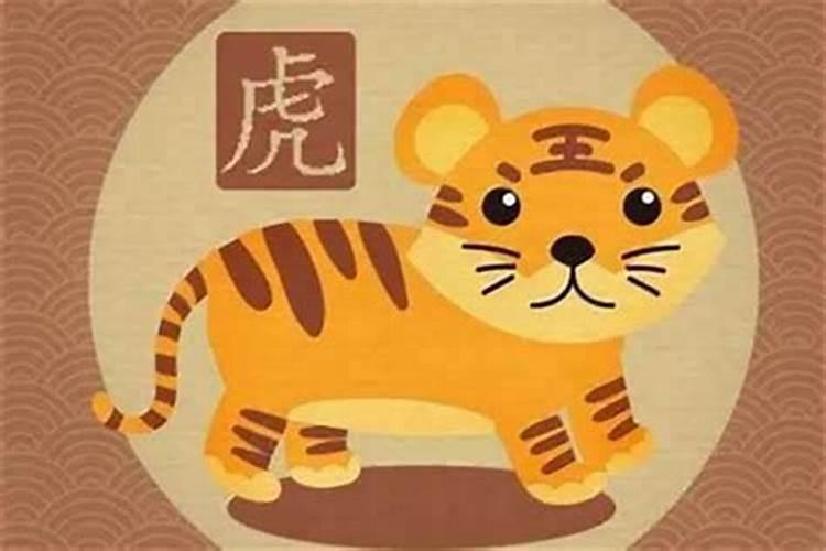 生肖猪2025年的运程