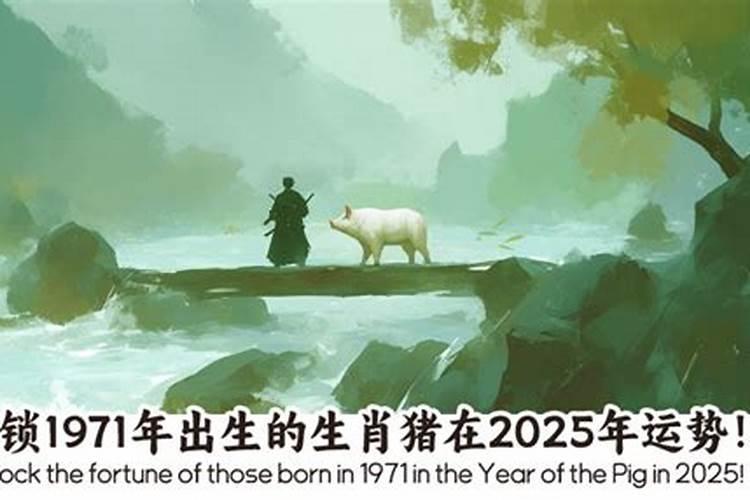 2024属马人的全年运势如何