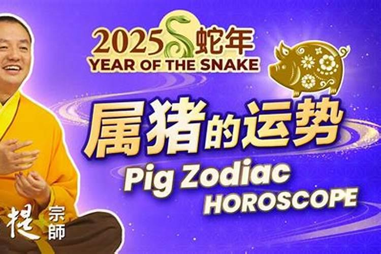 属猪的今年多大了了l