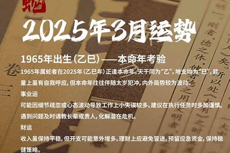 狗命人2025年运势