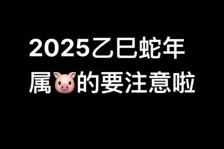 2024年鼠宝宝出生运势及运程