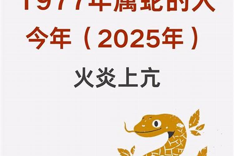 属狗猪牛的2025年运程