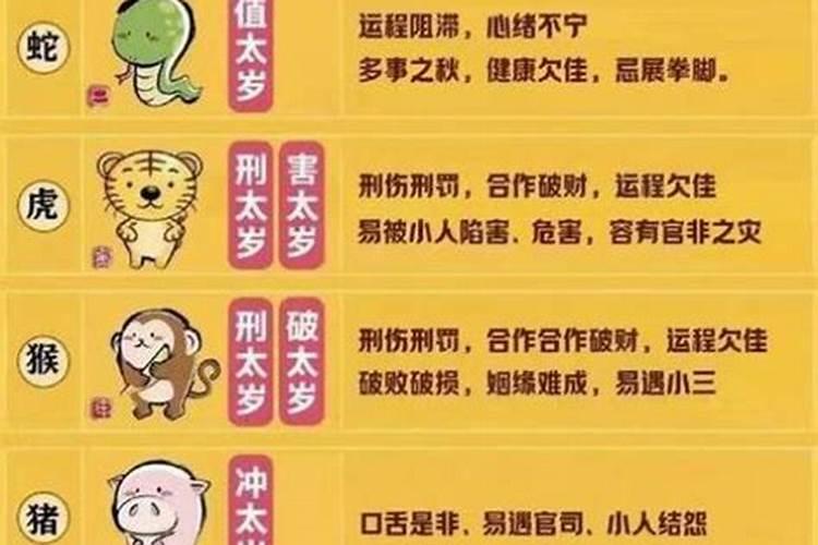 属狗和属猪八字合不合婚姻好