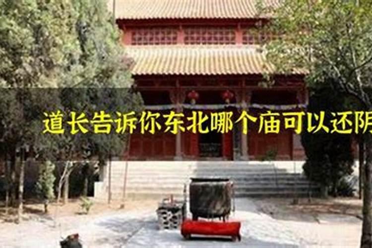 清明学校祭祀活动