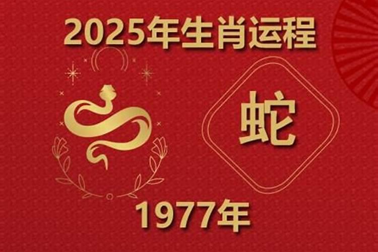 2017年属马的虚岁多大