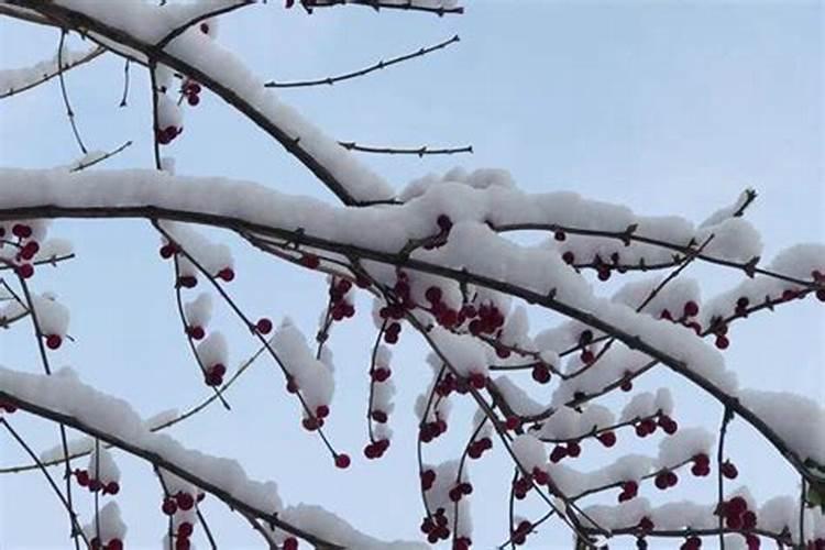 初一梦见下雪什么意思周公解梦