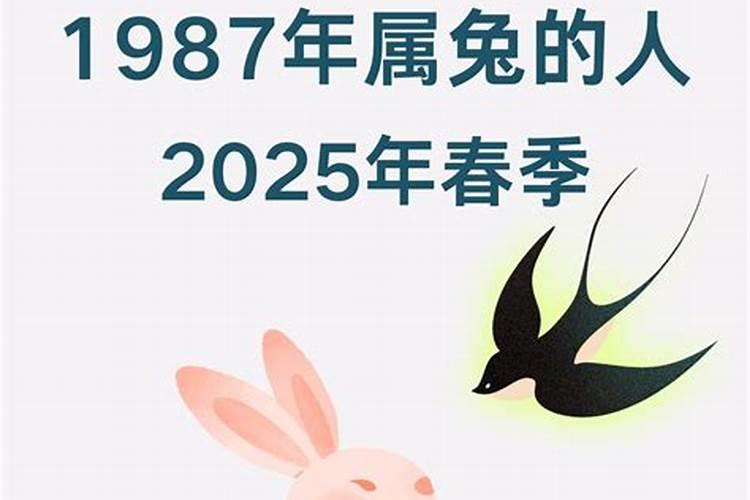 阳历2024年属什么生肖运势