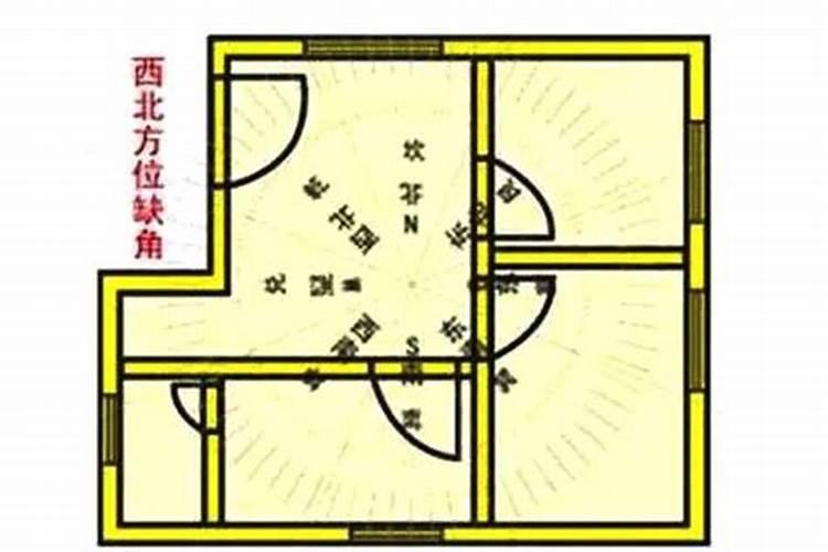 2024属狗运势运程如何