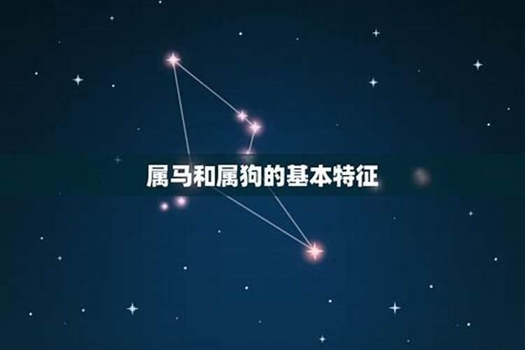 2024年害太岁佩戴什么化解