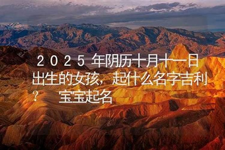 2024年几大生肖犯太岁