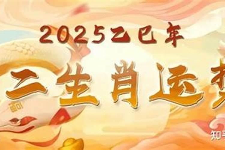 2025年十二生肖运程