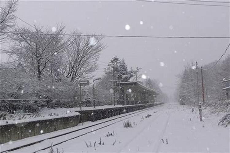 做梦梦见下初雪