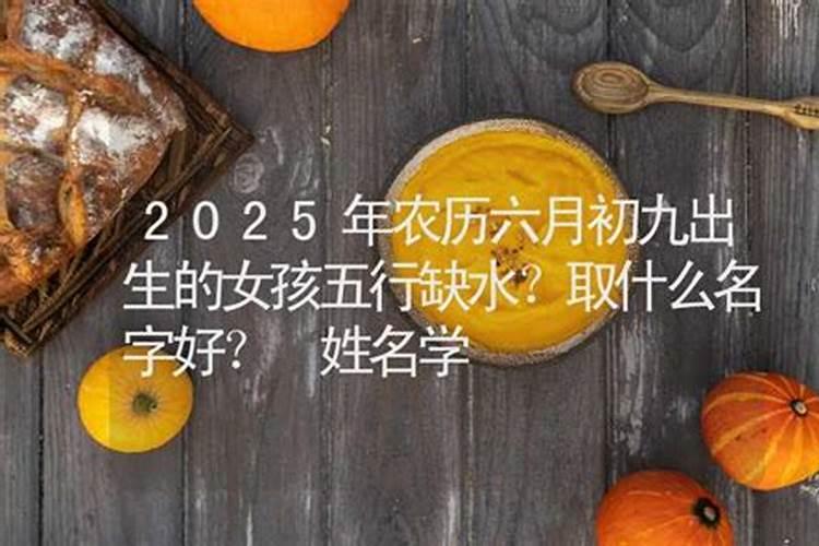 麦玲玲2020年运势12生肖运势