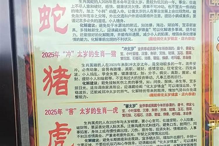 属猪2023年幸运色和忌讳色