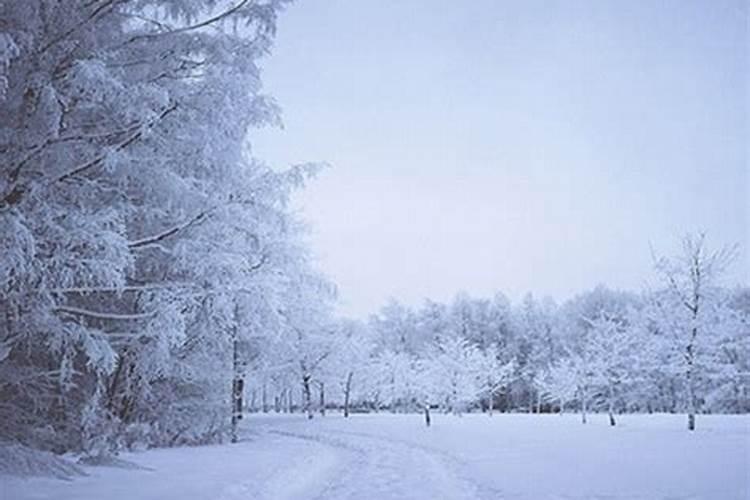 梦见下初雪了是什么意思