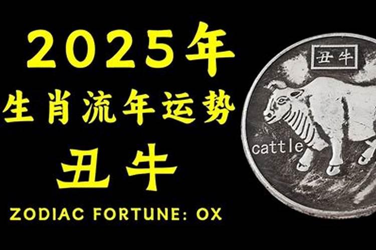 属牛的2024年阳历运势如何