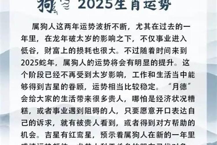 2025下半年十二生肖运程