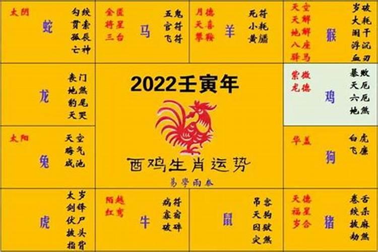 70年的狗今年感情运势如何