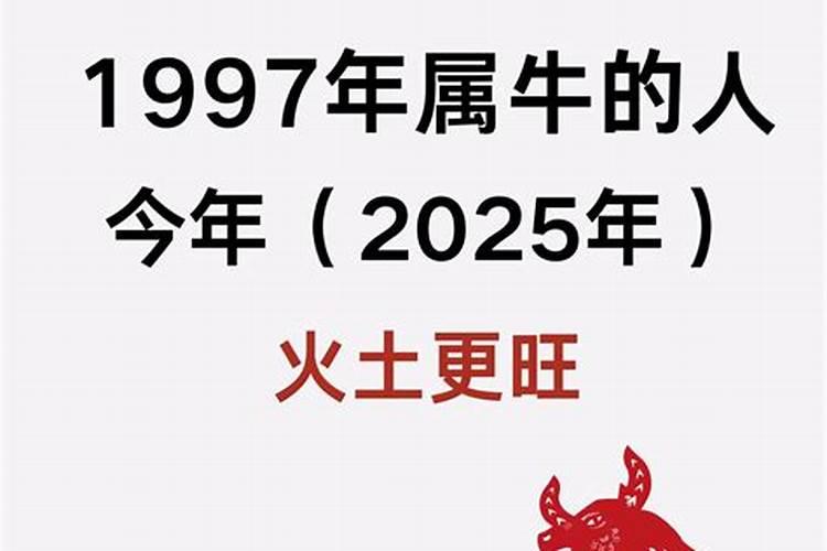 1997年属牛男人的一生