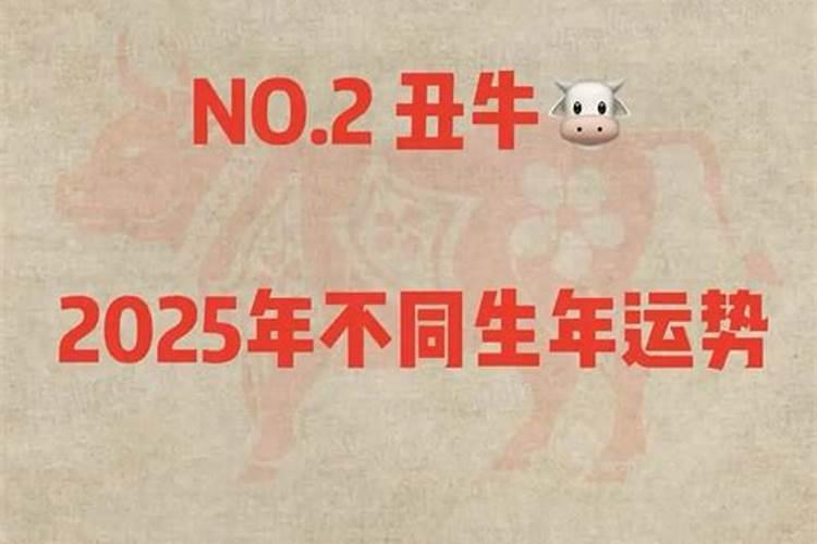 属牛的2025年本命年运势如何