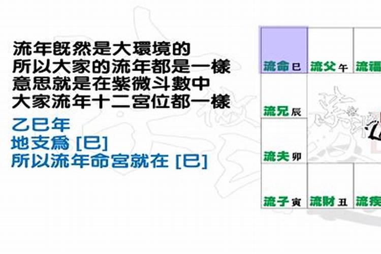 冬天属兔的命运如何