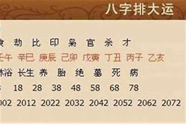 龙生肖在2025年运程