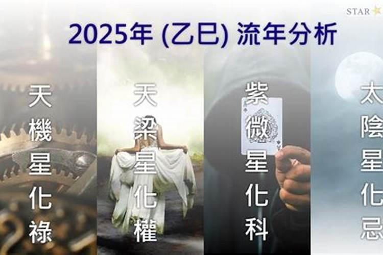 十二生肖运亥势2025年运程