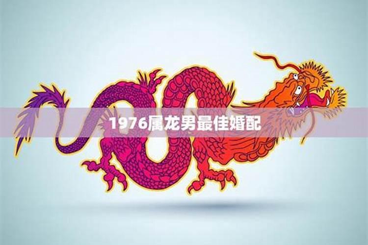 属猪运势2025年运程