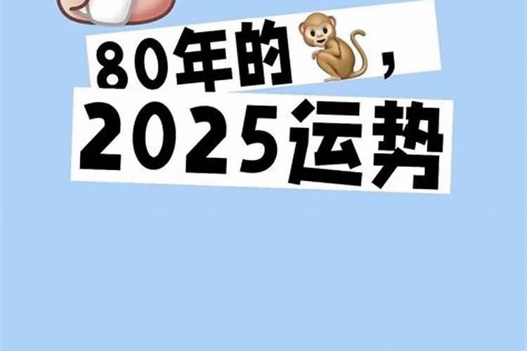 十二属相在2025年运势