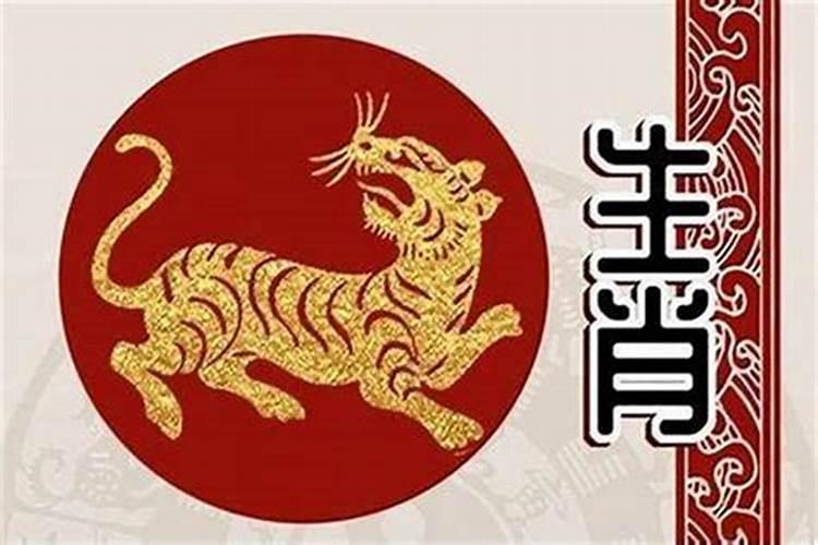 猫石对话2025年运势六月