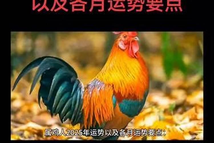 羊的运势2023年运势详解