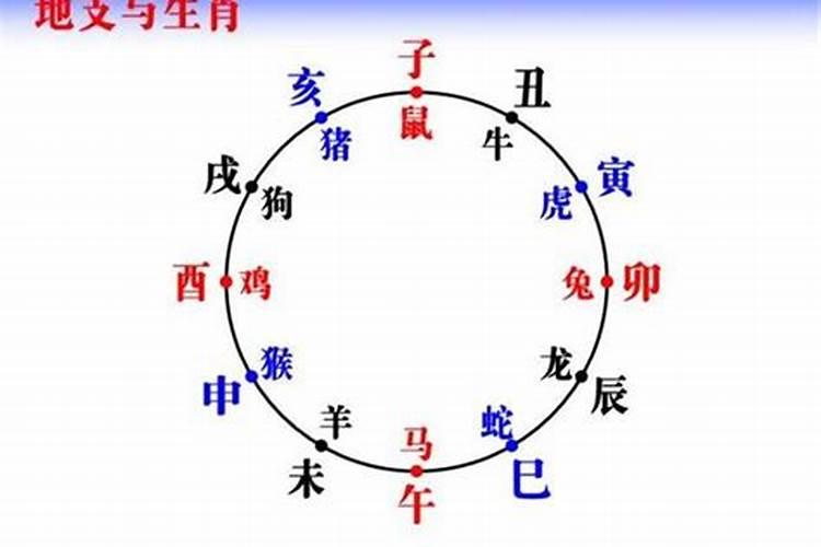 12属相运气好排名