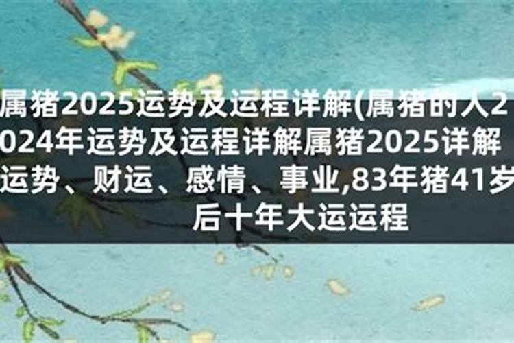 生肖猪2023运势如何旺财