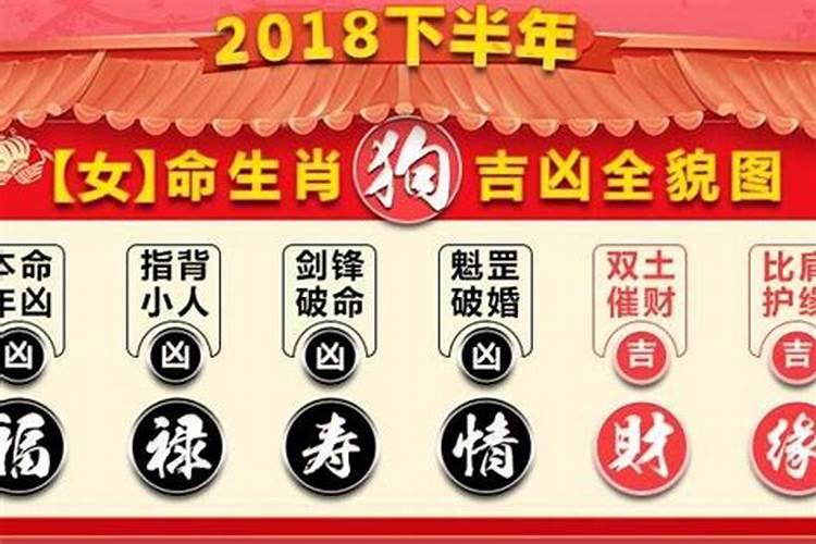 今年是生肖年呀