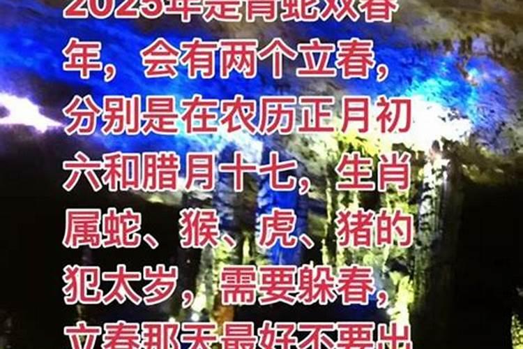 梦见很多小海龟是什么意思