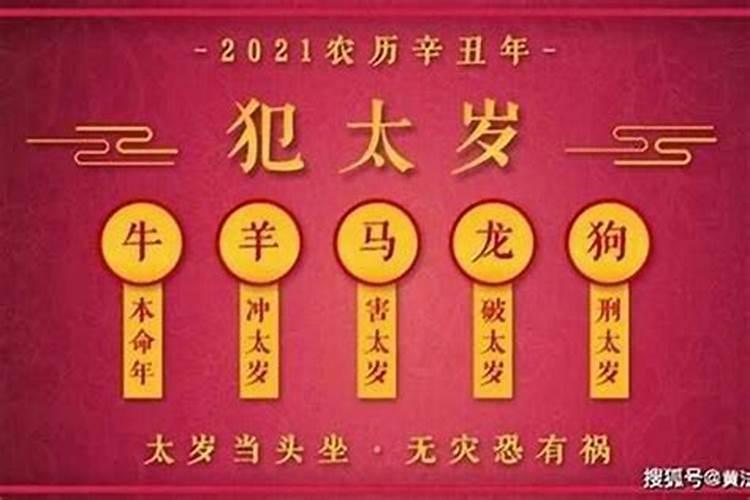 2024年什么属相的犯太岁