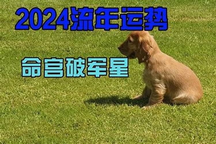 2023年谁值太岁是谁的生日